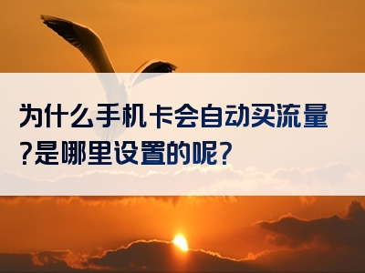 为什么手机卡会自动买流量？是哪里设置的呢？