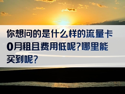 你想问的是什么样的流量卡0月租且费用低呢？哪里能买到呢？