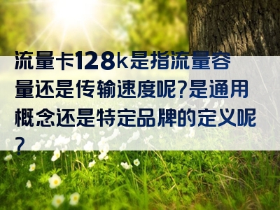 流量卡128k是指流量容量还是传输速度呢？是通用概念还是特定品牌的定义呢？