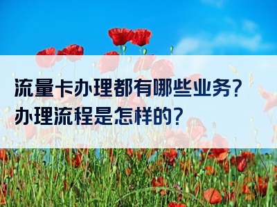 流量卡办理都有哪些业务？办理流程是怎样的？
