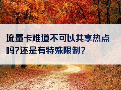 流量卡难道不可以共享热点吗？还是有特殊限制？
