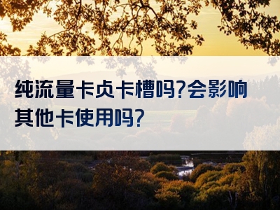 纯流量卡占卡槽吗？会影响其他卡使用吗？