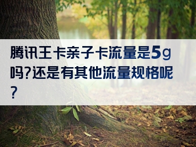 腾讯王卡亲子卡流量是5g吗？还是有其他流量规格呢？