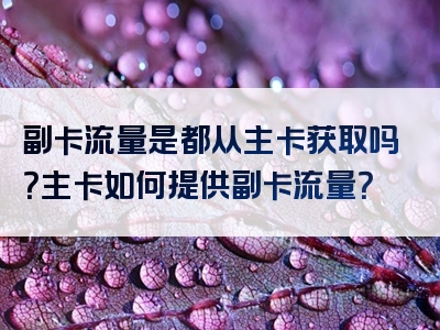 副卡流量是都从主卡获取吗？主卡如何提供副卡流量？