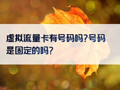 虚拟流量卡有号码吗？号码是固定的吗？