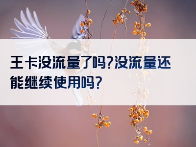 王卡没流量了吗？没流量还能继续使用吗？