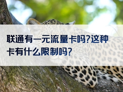 联通有一元流量卡吗？这种卡有什么限制吗？