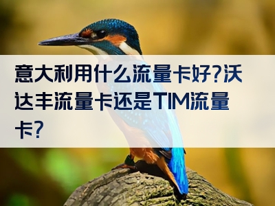 意大利用什么流量卡好？沃达丰流量卡还是TIM流量卡？