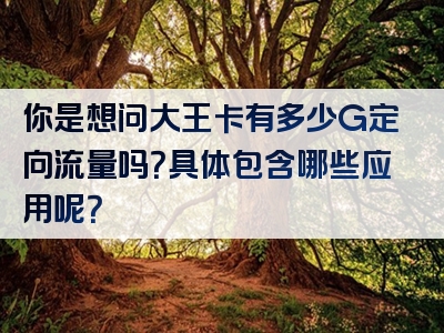 你是想问大王卡有多少G定向流量吗？具体包含哪些应用呢？