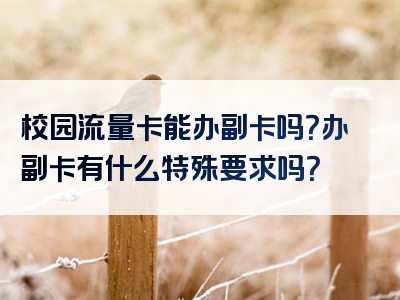 校园流量卡能办副卡吗？办副卡有什么特殊要求吗？
