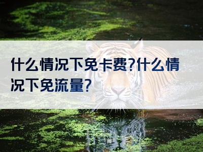 什么情况下免卡费？什么情况下免流量？
