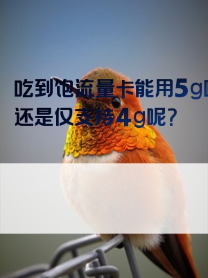 吃到饱流量卡能用5g吗？还是仅支持4g呢？