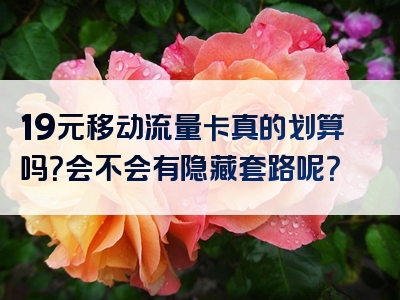 19元移动流量卡真的划算吗？会不会有隐藏套路呢？