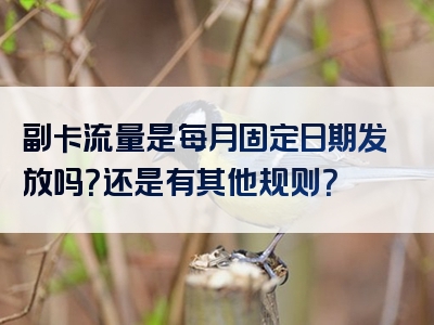 副卡流量是每月固定日期发放吗？还是有其他规则？