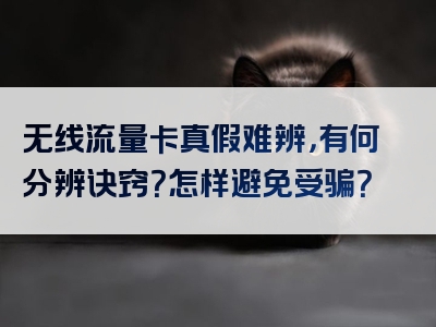 无线流量卡真假难辨，有何分辨诀窍？怎样避免受骗？