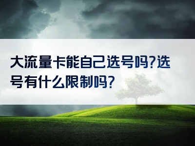 大流量卡能自己选号吗？选号有什么限制吗？