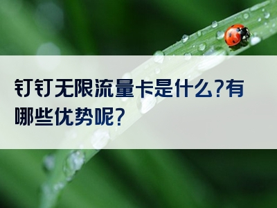 钉钉无限流量卡是什么？有哪些优势呢？
