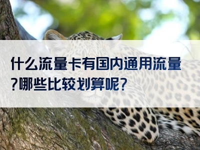 什么流量卡有国内通用流量？哪些比较划算呢？