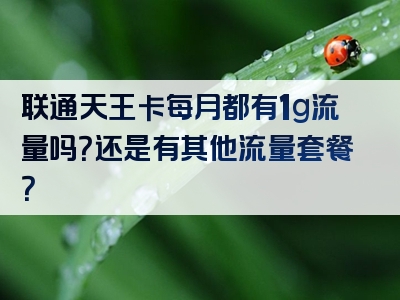 联通天王卡每月都有1g流量吗？还是有其他流量套餐？
