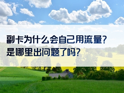 副卡为什么会自己用流量？是哪里出问题了吗？