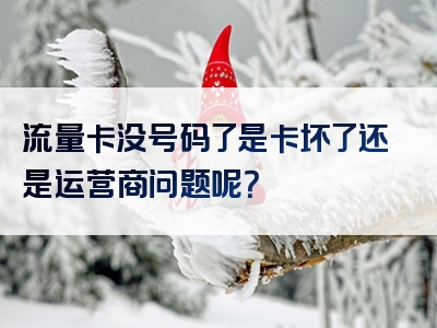 流量卡没号码了是卡坏了还是运营商问题呢？