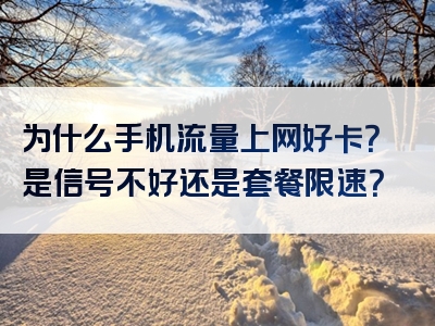 为什么手机流量上网好卡？是信号不好还是套餐限速？