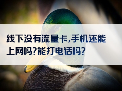 线下没有流量卡，手机还能上网吗？能打电话吗？
