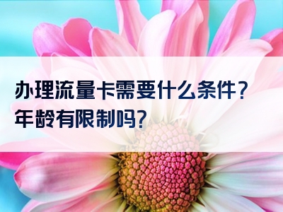 办理流量卡需要什么条件？年龄有限制吗？