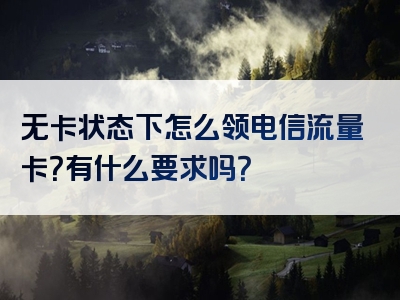 无卡状态下怎么领电信流量卡？有什么要求吗？