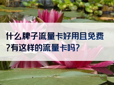 什么牌子流量卡好用且免费？有这样的流量卡吗？