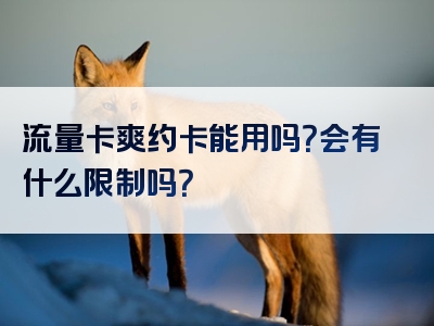 流量卡爽约卡能用吗？会有什么限制吗？