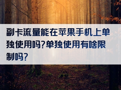 副卡流量能在苹果手机上单独使用吗？单独使用有啥限制吗？