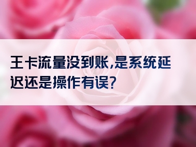 王卡流量没到账，是系统延迟还是操作有误？