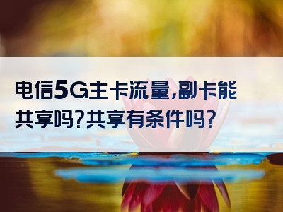 电信5G主卡流量，副卡能共享吗？共享有条件吗？