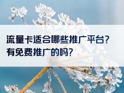 流量卡适合哪些推广平台？有免费推广的吗？