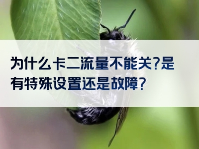 为什么卡二流量不能关？是有特殊设置还是故障？