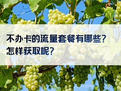 不办卡的流量套餐有哪些？怎样获取呢？