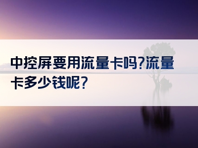 中控屏要用流量卡吗？流量卡多少钱呢？