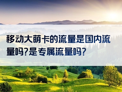 移动大萌卡的流量是国内流量吗？是专属流量吗？