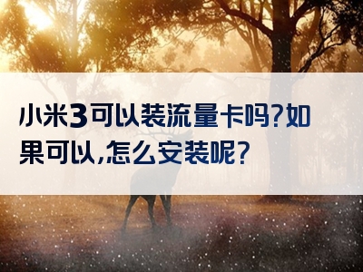 小米3可以装流量卡吗？如果可以，怎么安装呢？