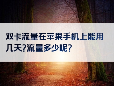 双卡流量在苹果手机上能用几天？流量多少呢？