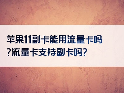 苹果11副卡能用流量卡吗？流量卡支持副卡吗？