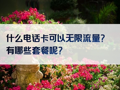 什么电话卡可以无限流量？有哪些套餐呢？