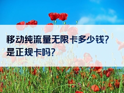 移动纯流量无限卡多少钱？是正规卡吗？