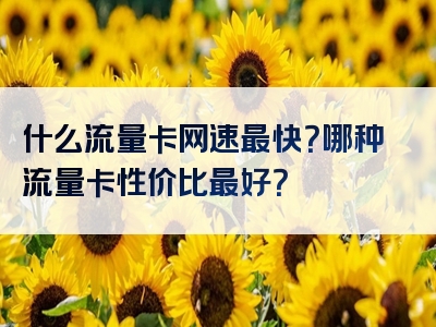 什么流量卡网速最快？哪种流量卡性价比最好？