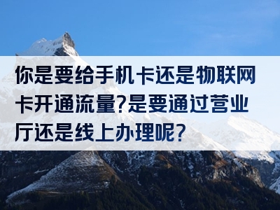 你是要给手机卡还是物联网卡开通流量？是要通过营业厅还是线上办理呢？