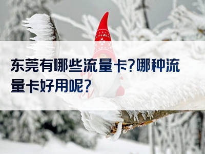 东莞有哪些流量卡？哪种流量卡好用呢？