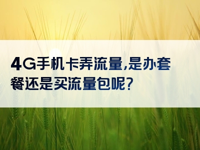 4G手机卡弄流量，是办套餐还是买流量包呢？