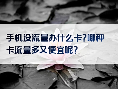 手机没流量办什么卡？哪种卡流量多又便宜呢？