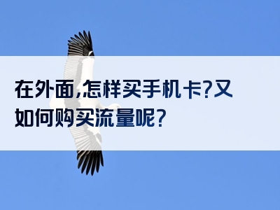 在外面，怎样买手机卡？又如何购买流量呢？